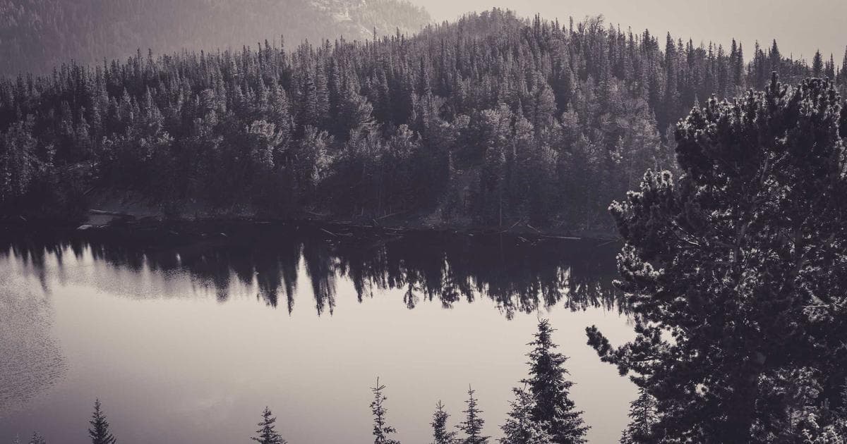 The Art of the P.S.: Why the Bottom of Your Email is Your Secret Conversion Engine
