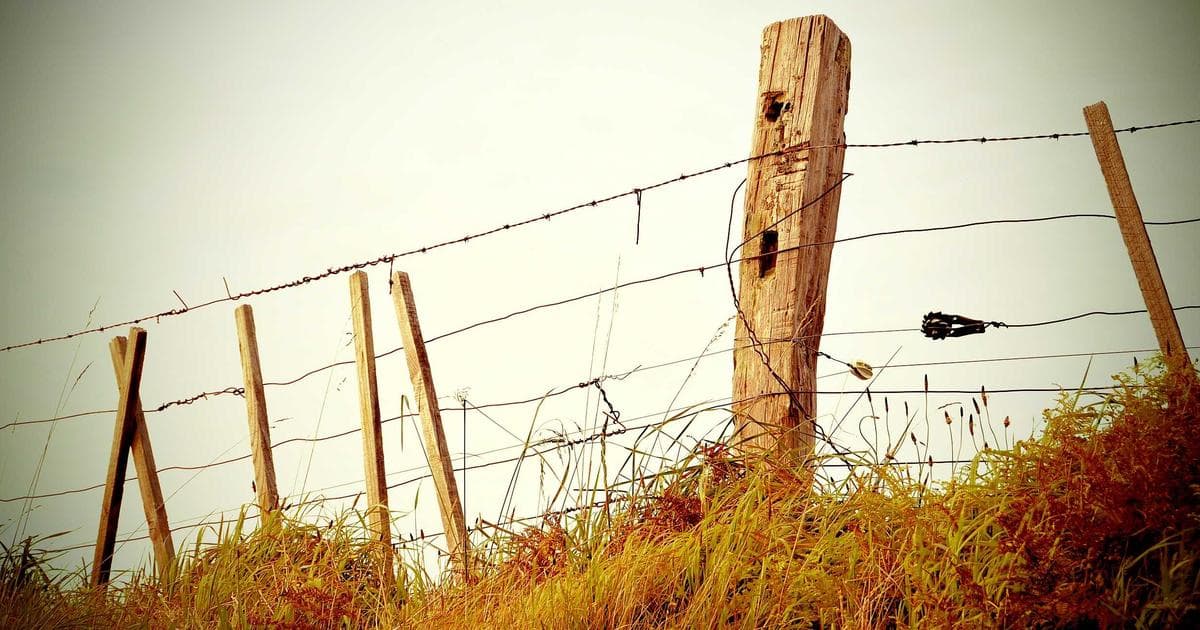 How to Build an Email Marketing Funnel That Converts on Autopilot