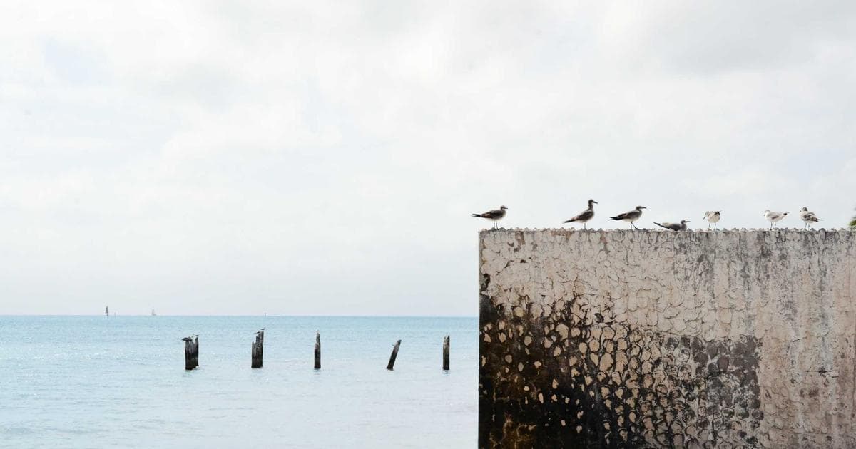 Case Study: How an E-commerce Brand Grew Sales 35% with Segmentation