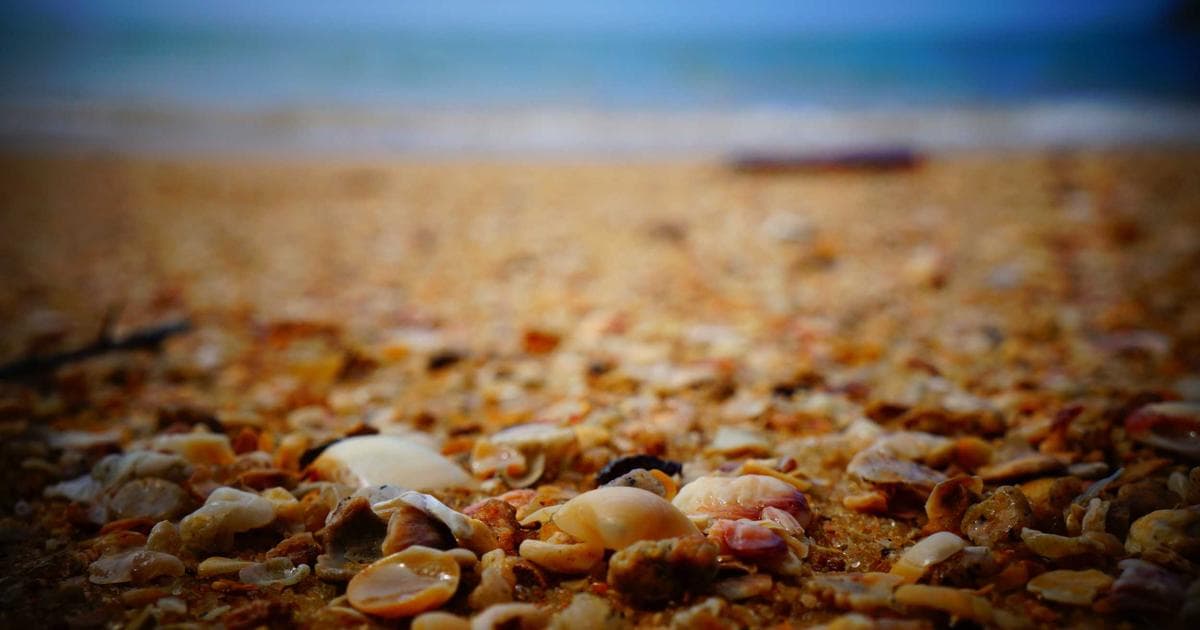 The Future of the Inbox: Predicting Email Marketing Trends for 2030