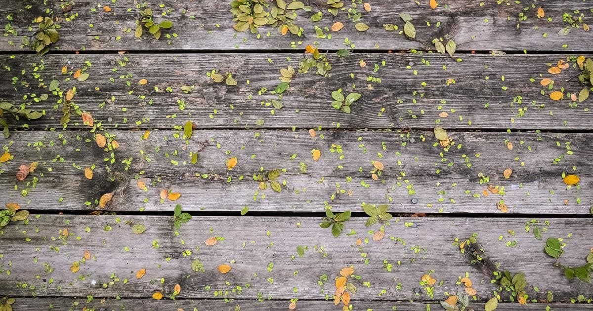 A Picture is Worth a Thousand Clicks: Image and Video SEO for SaaS