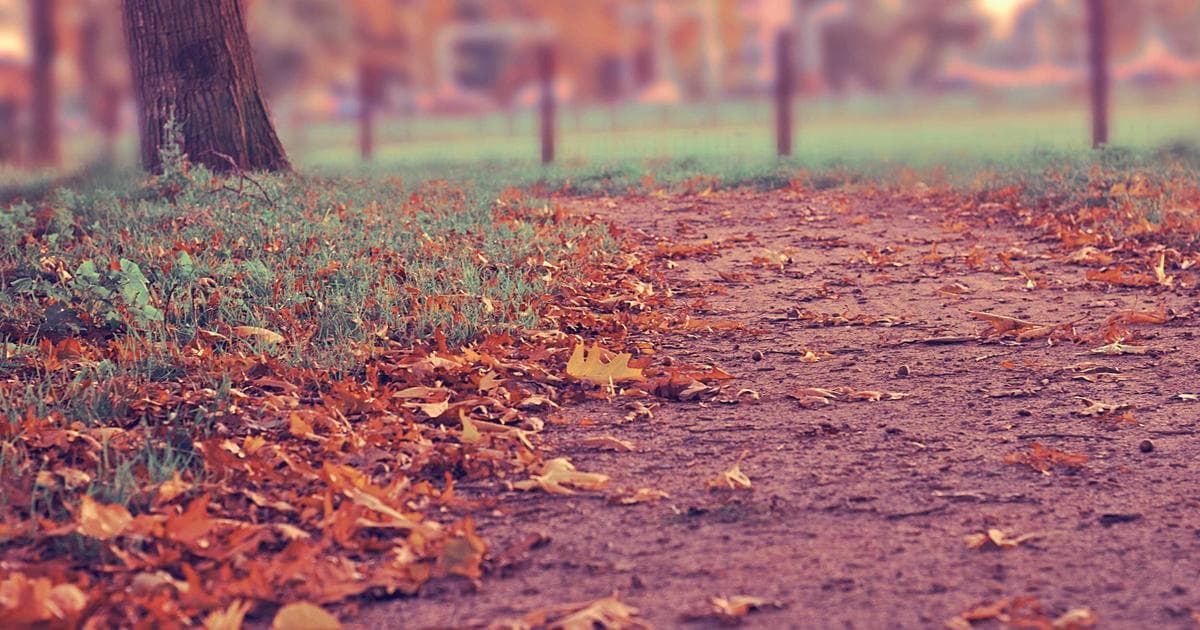Unlocking Keyword Goldmines from Your Email Subscriber Interactions