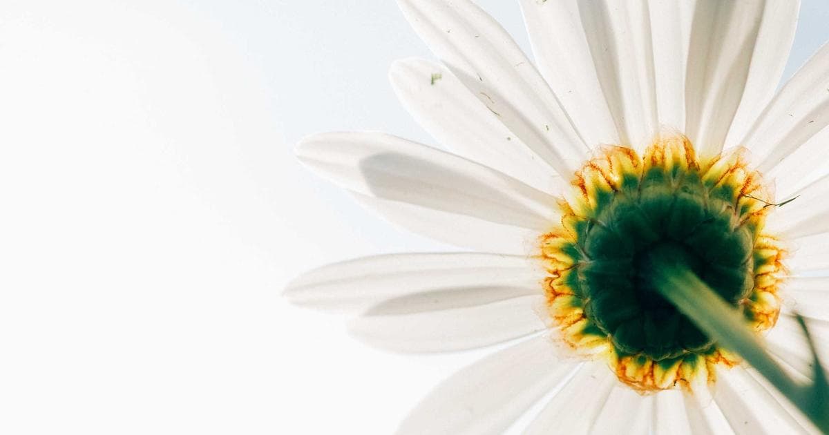 Beyond Guest Posts: 7 Link Building Strategies That Work for SaaS