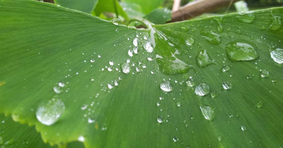 Nurturing Leads Through a Long Sales Cycle: A B2B Email Strategy
