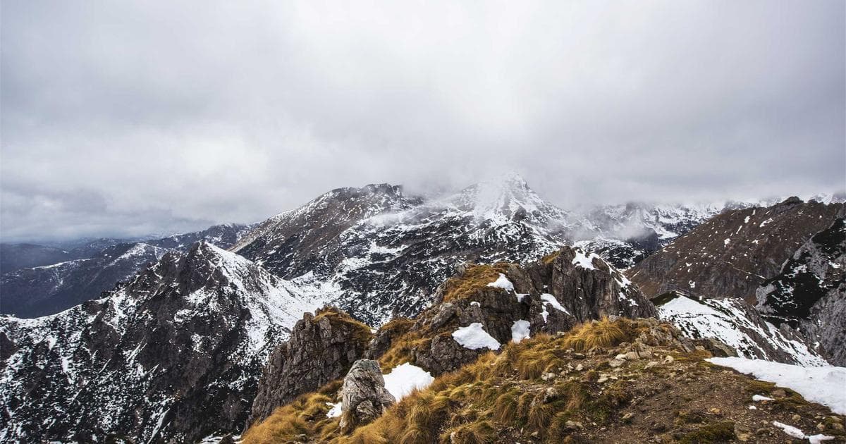 The ROI of Empathy: Why Vulnerability in Email Copy Drives More Revenue