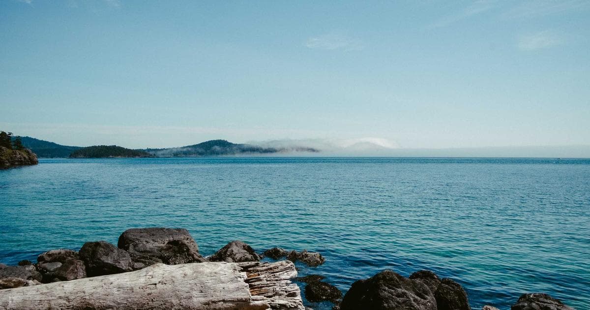 User Experience (UX) is the New SEO: A Guide for SaaS Marketers