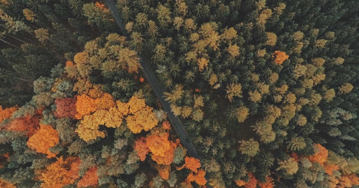 Zero-Click Searches: How to Win with SEO & Email When Google Answers the Question