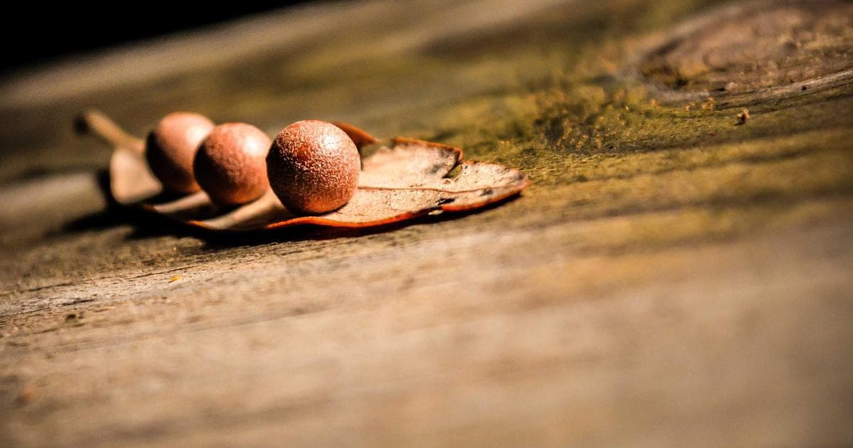 Zero-Party Data: The Key to Post-Cookie Email Personalization
